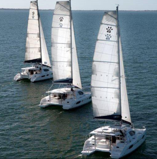 Three Leopard Catamarans sail together